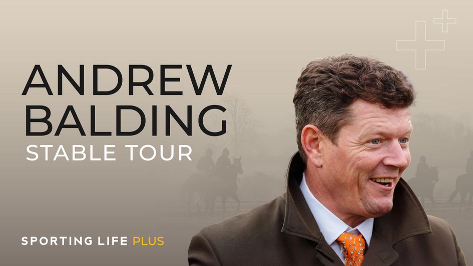 Andrew Balding Stable Tour