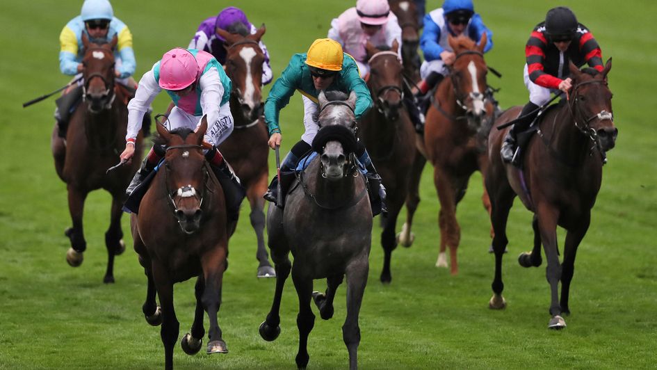 Mori (l) and Coronet battle out the finish