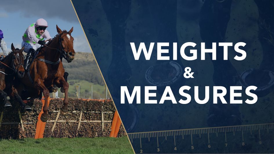 Monkfish: One of a group of exceptional novice chasers