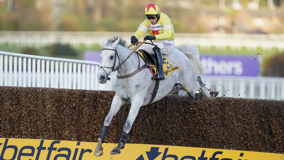 Politologue - brilliant winner of the Betfair Tingle Creek