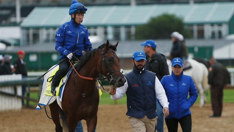 Thunder Snow is a fresh horse heading into Champions Day