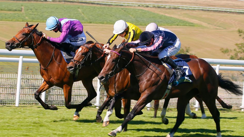Spirit Of Bermuda winning at Goodwood