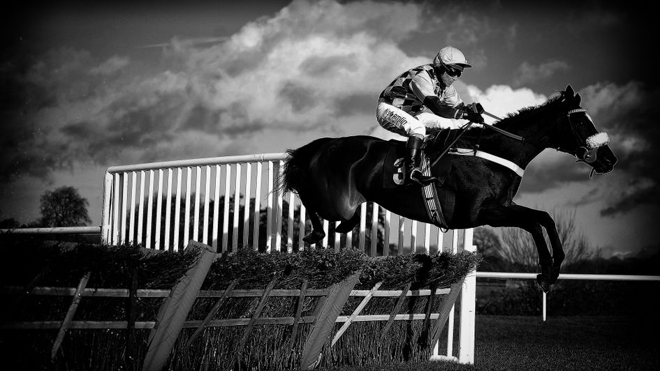 Jammin Masters: Fancied at a big price