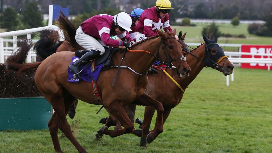 Gold Cup contender Road To Respect