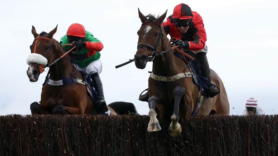 Huntsman Son - thriving at the moment