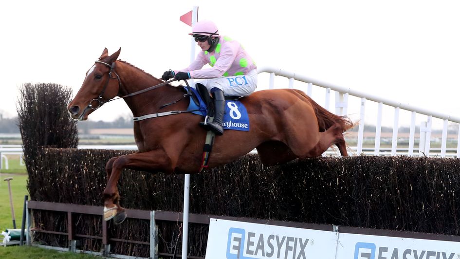 Monkfish - winning start over fences