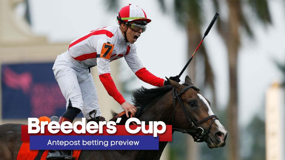 Bricks And Mortar can be crowned in the Breeders' Cup Mile