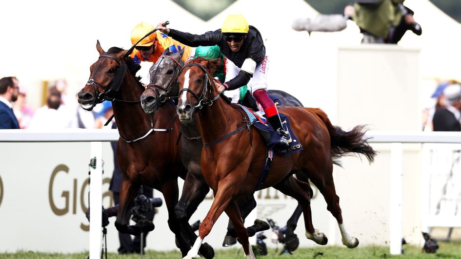 Stradivarius - one of the star names at Glorious Goodwood