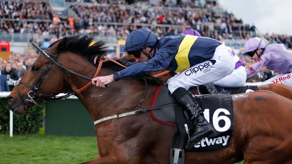 Lincoln winner Bravery has become well treated again