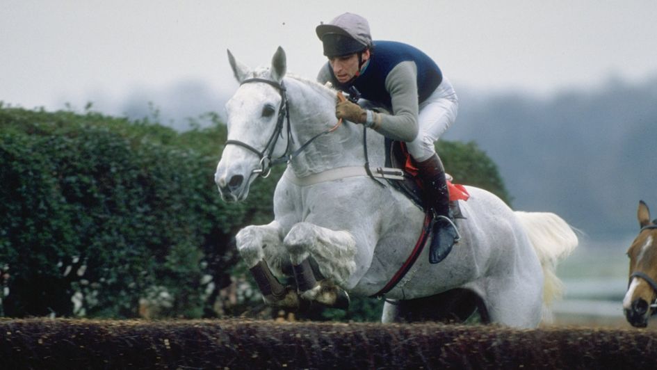 Desert Orchid in action at Sandown