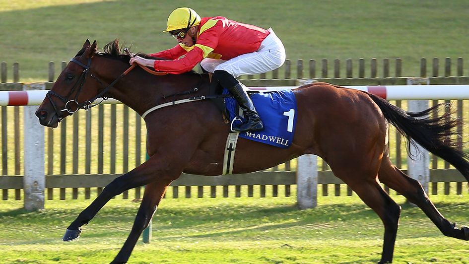 Data Protection - fancied in Cambridgeshire