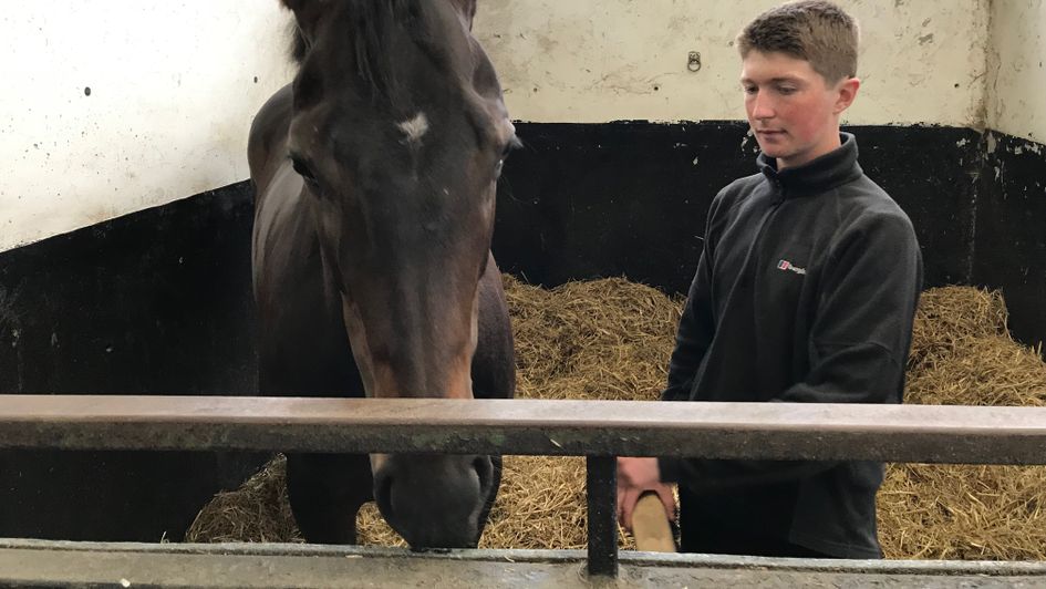 Kodyanna relaxes at home before her Royal Ascot assignment