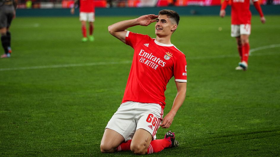 Benfica defender Antonio Silva