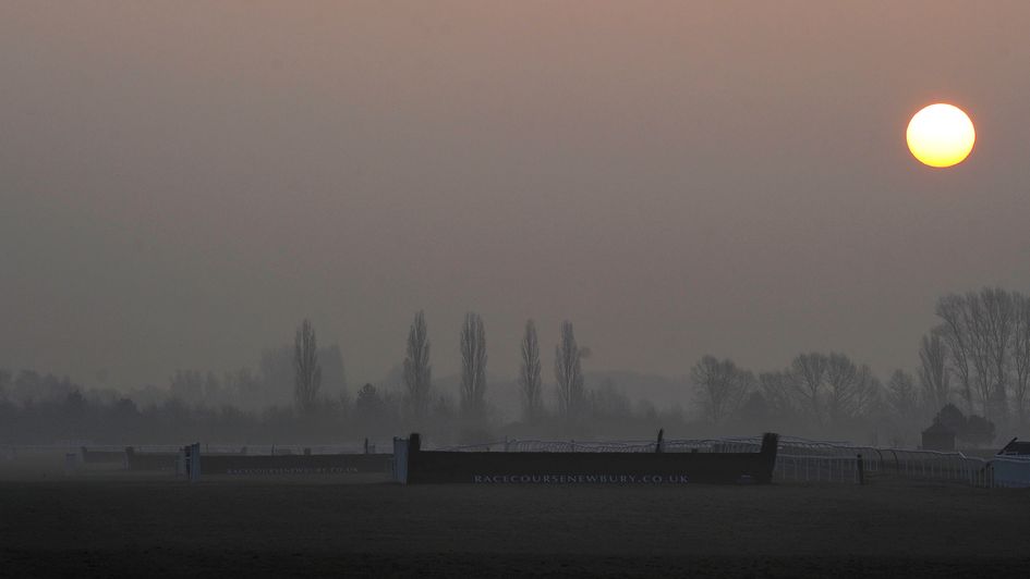 Newbury will inspect on Saturday morning