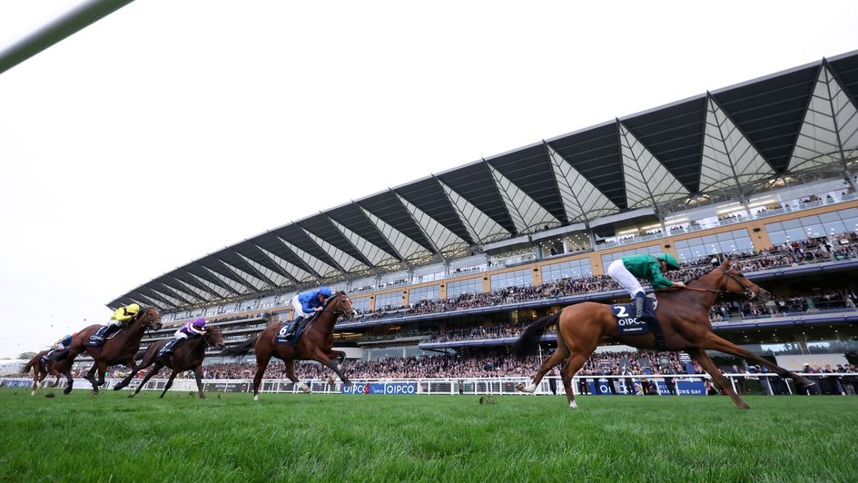 Calandagan draws clear to win the Champion Stakes