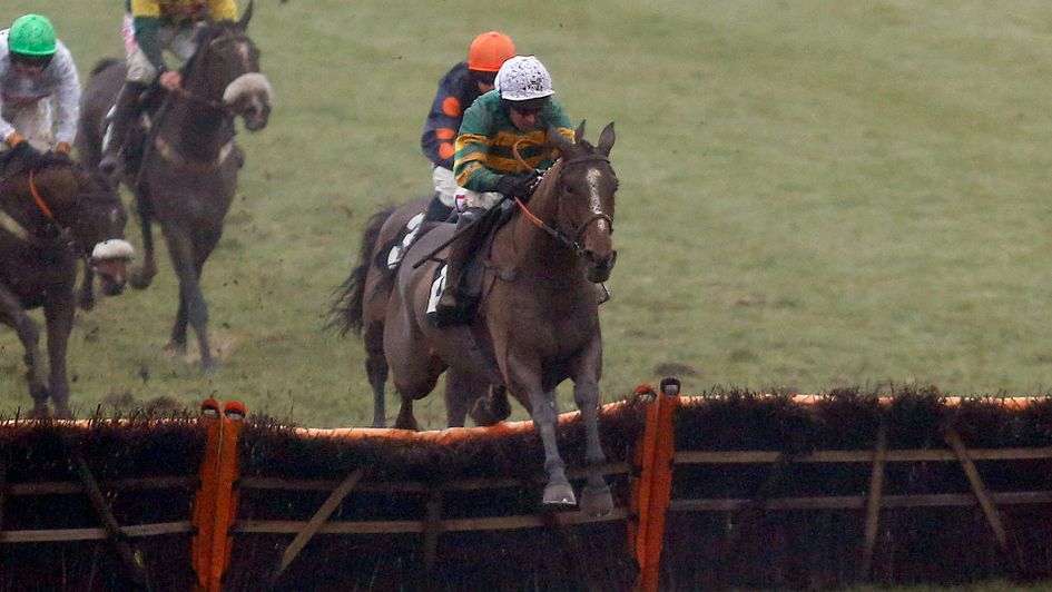 Jerrysback is a top prospect for Philip Hobbs