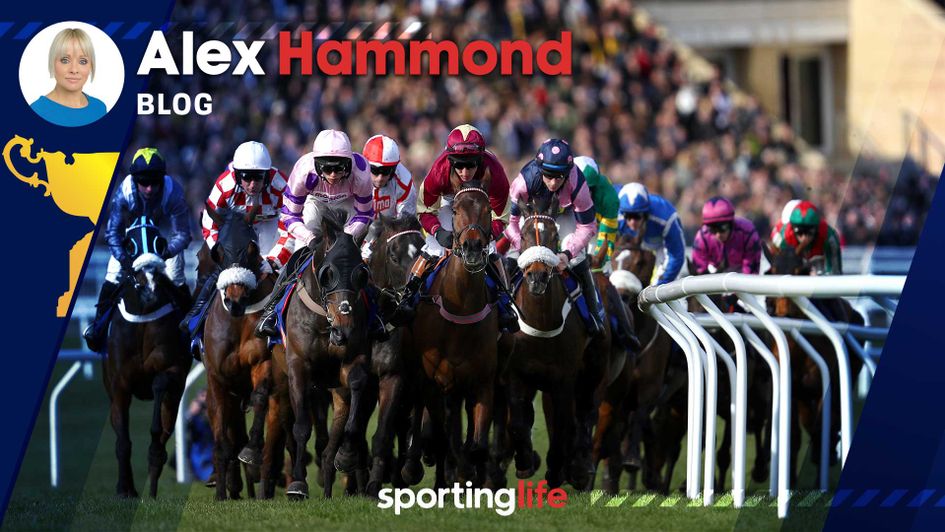 Alex Hammond previews the action