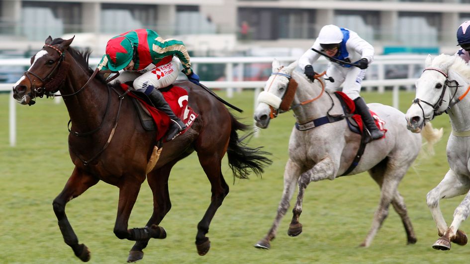 Daklondike battles to victory in the Mandarin Chase