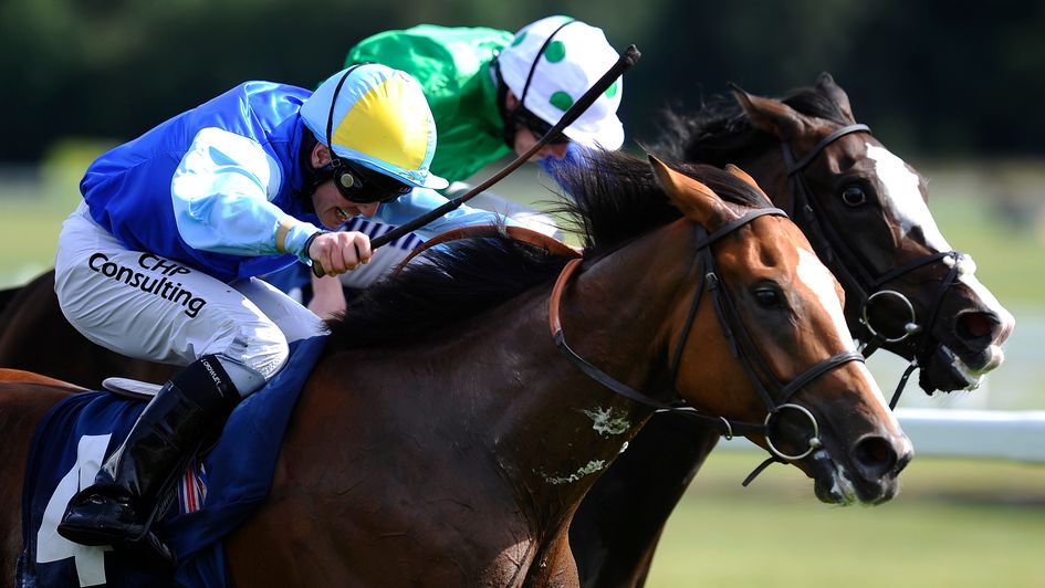 Poyle Thomas - huge price in the Cesarewitch