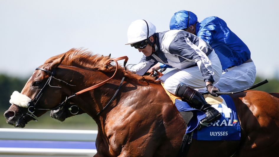 Ulysses has grown in stature