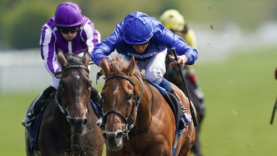 High Definition (left) chases home Hurricane Lane in the Dante