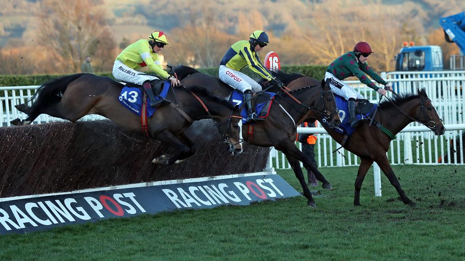 Mister Whitaker on his way to victory at the Festival