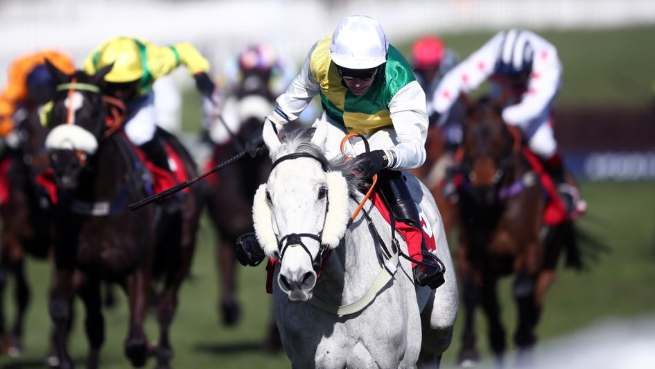 Vintage Clouds gallops up the hill at Cheltenham