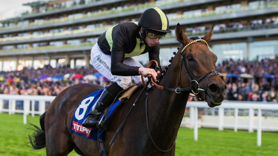 Intransigent is fancied to go well on Saturday