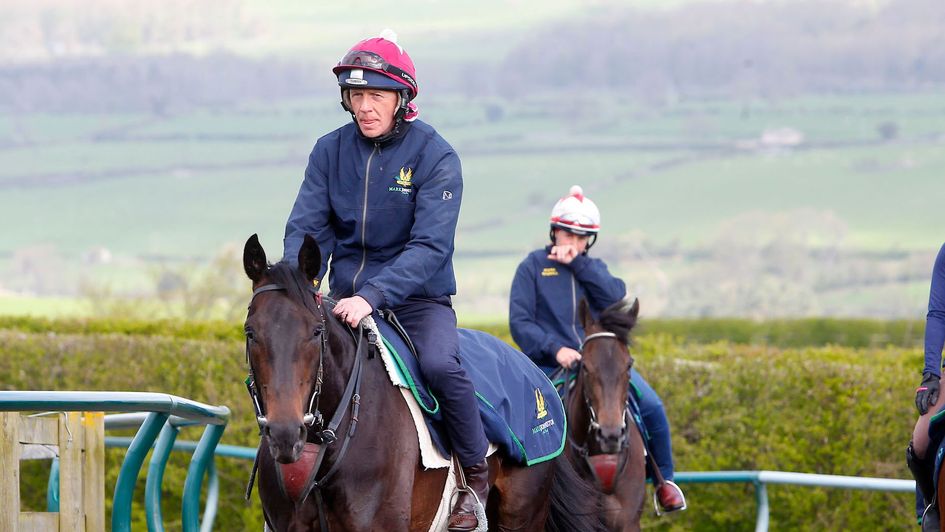Elarqam heading to the gallops (photo courtesy of Great British Racing)