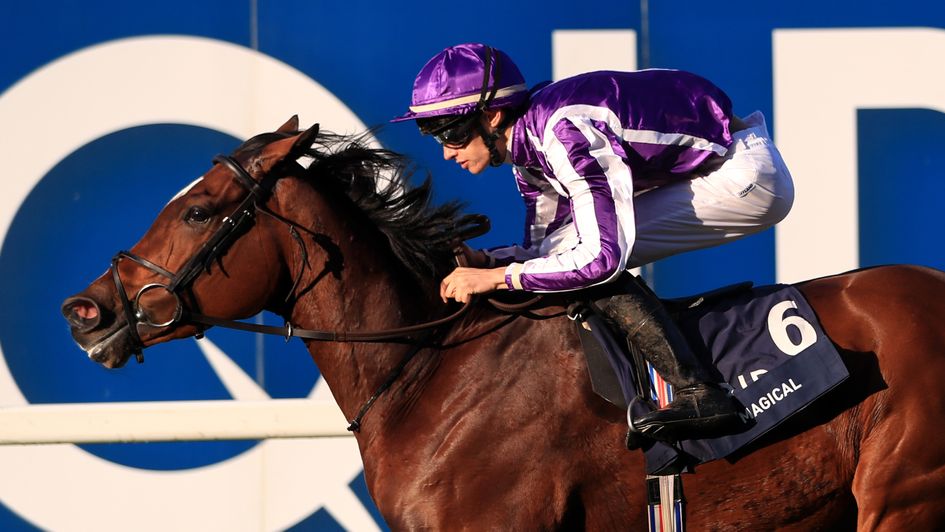 Magical in full flow on Champions Day