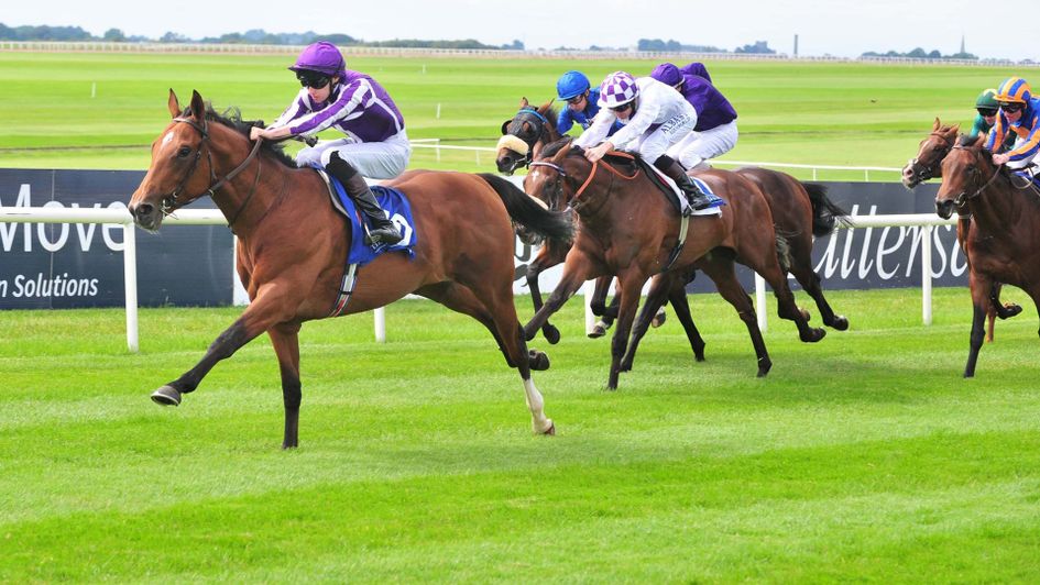 Saxon Warrior pictured winning on debut