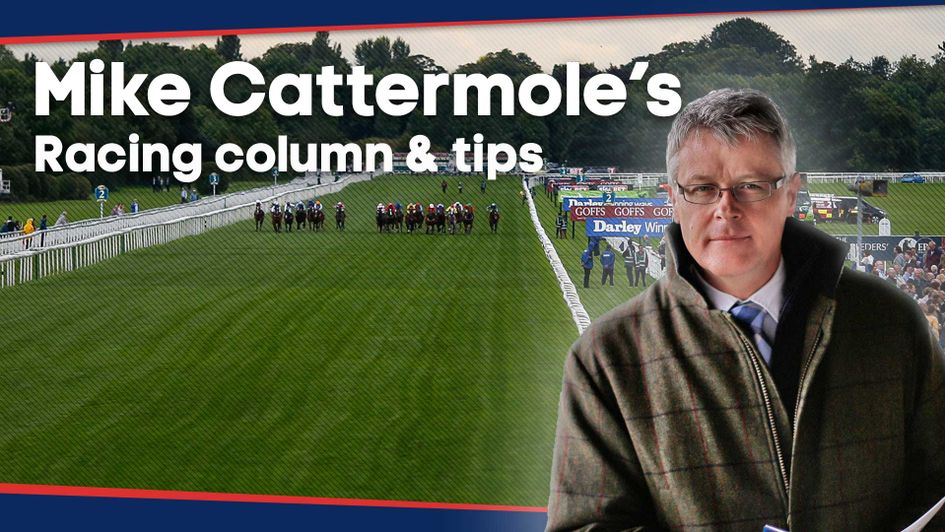 Check out the latest thoughts of Mike Cattermole in this week's column