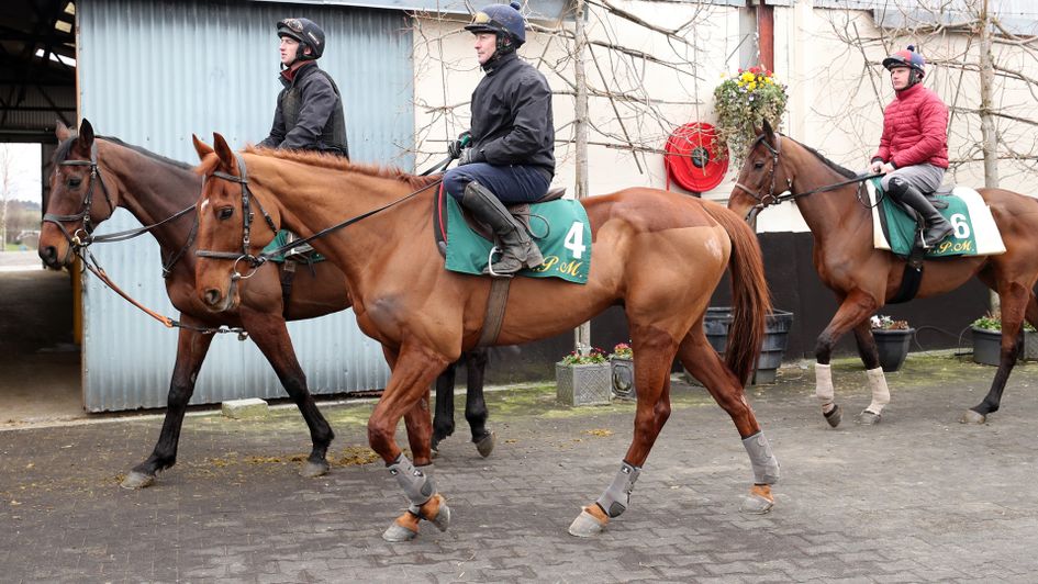 Djakadam, Yorkhill and Killultagh Vic