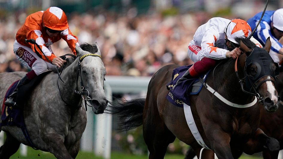 Forever In Dreams chases home Advertise at Royal Ascot