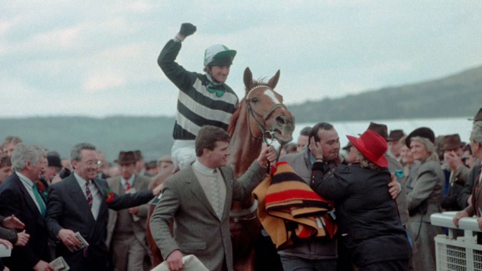 Norton's Coin - won one Gold Cup
