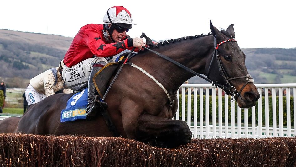 Ballyhill jumps to victory at Cheltenham