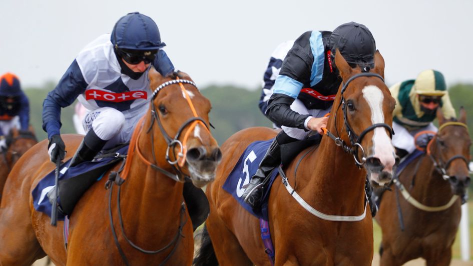 Sunset Breeze battles to victory