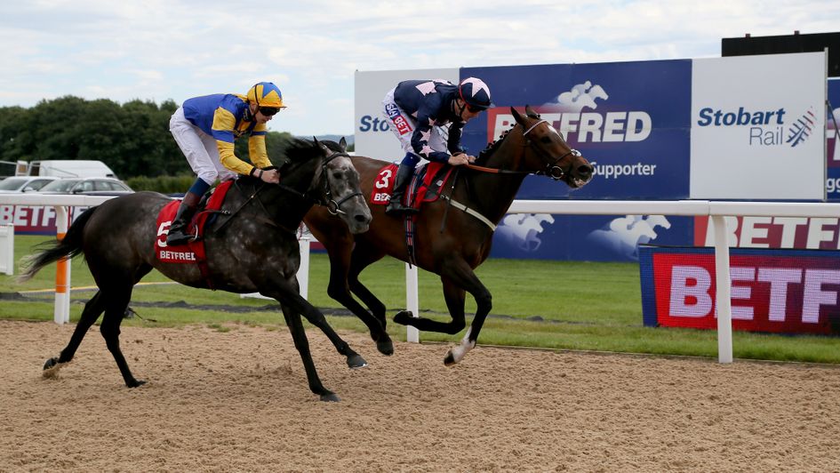 London Prize (far side) is fancied to go well