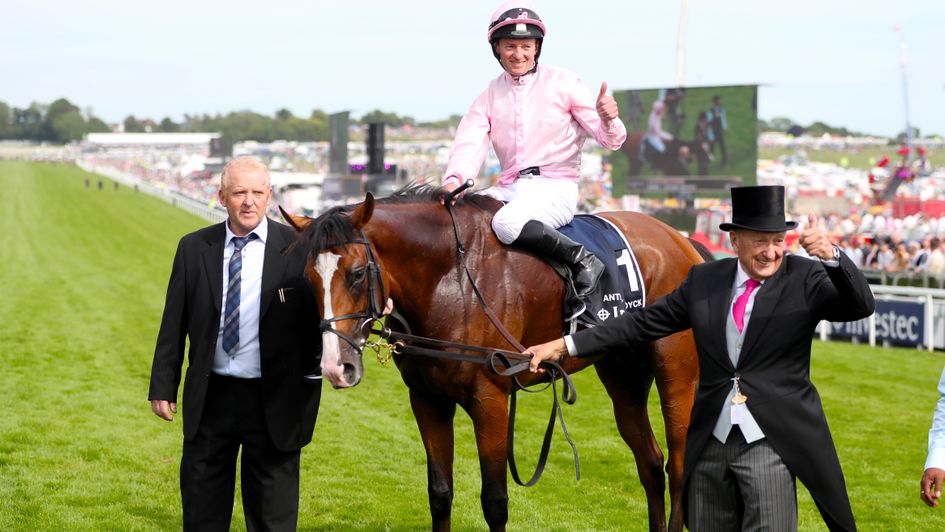 Last year's Derby hero Anthony Van Dyck