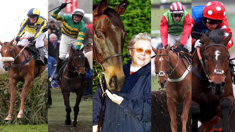 From left to right: The Last Samuri, Sunnyhillboy, Garrison Savvanah, Definitly Red and Rocky Creek