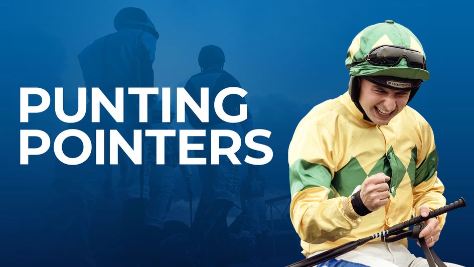 Preview and tips from our daily experts