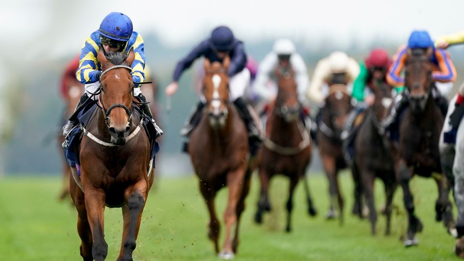 Trueshan and Hollie Doyle power clear at Ascot