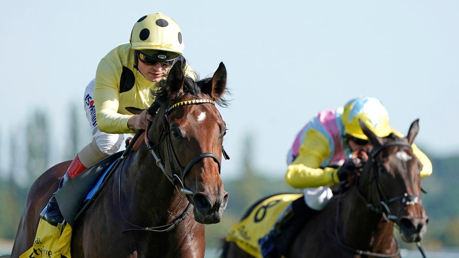 Pierre Lapin wins in the hands of Andrea Atzeni