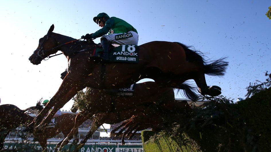 Ucello Conti: Fine Aintree record