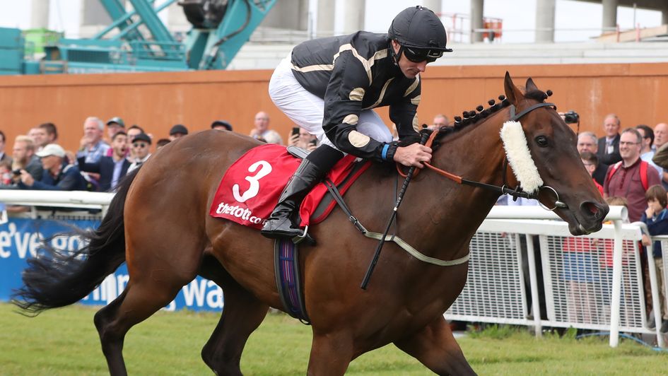 Stable stalwart Intisaab