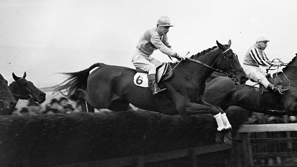 The great Golden Miller