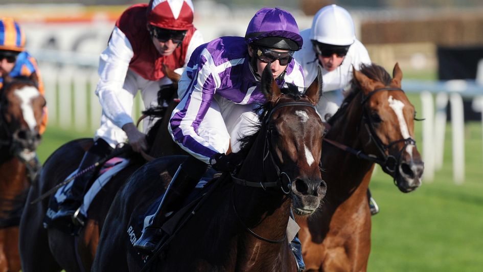Camelot wins the Futurity in 2011