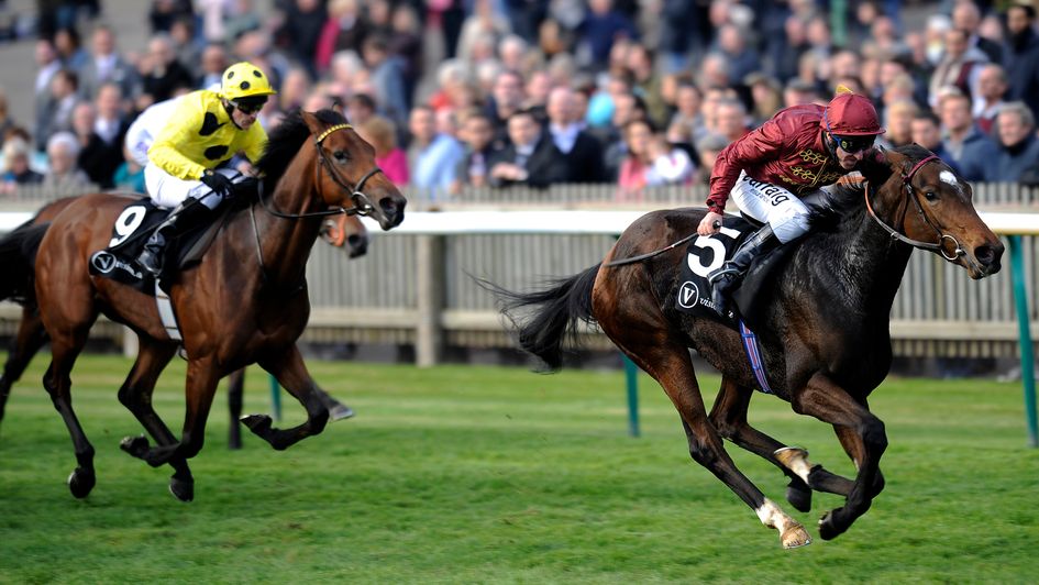 Just The Judge in winning action
