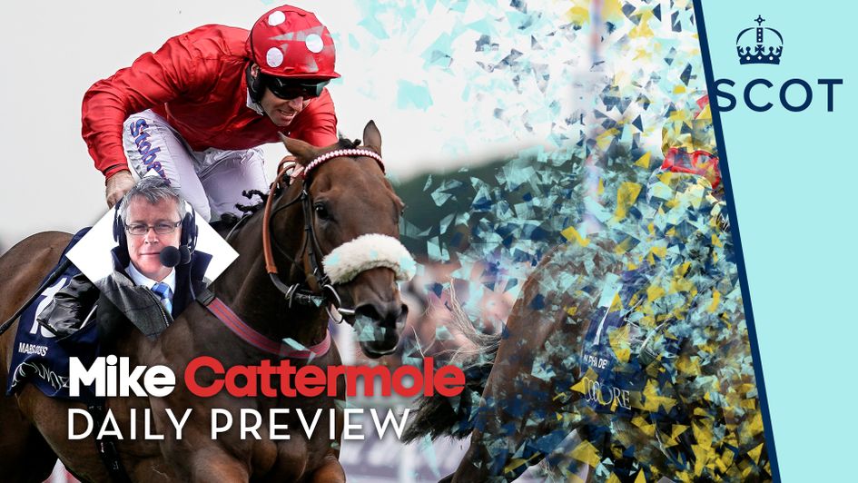 Mabs Cross is backed each-way in the King's Stand