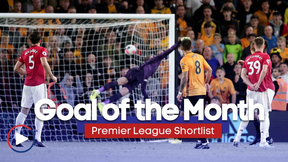 Scroll down to watch all the goals of the month contenders